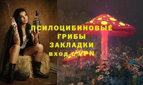 не бодяженный Абаза