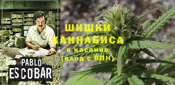 амф Осташков