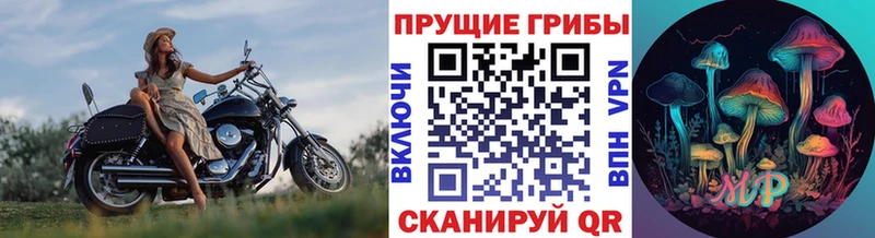 Галлюциногенные грибы Magic Shrooms  Кингисепп 