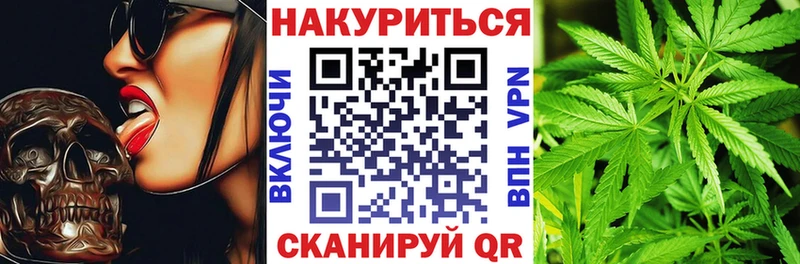 Канабис OG Kush  Кингисепп 